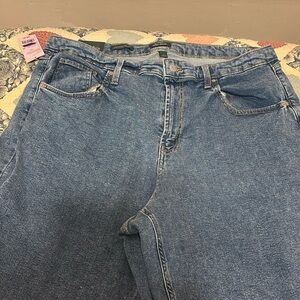 Jrs Size 17 Wild Fable Jeans NWT